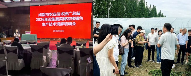 由成都市農技推廣總站組織的“0”農殘示范觀摩會在新津召開