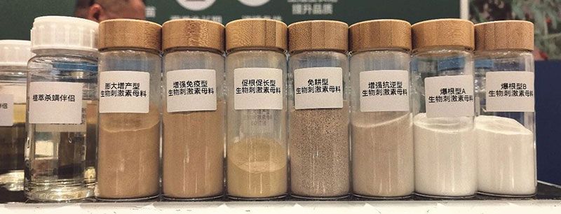 新朝陽亮相ABS 2026：聚焦生物刺激劑創新，助力農業綠色轉型