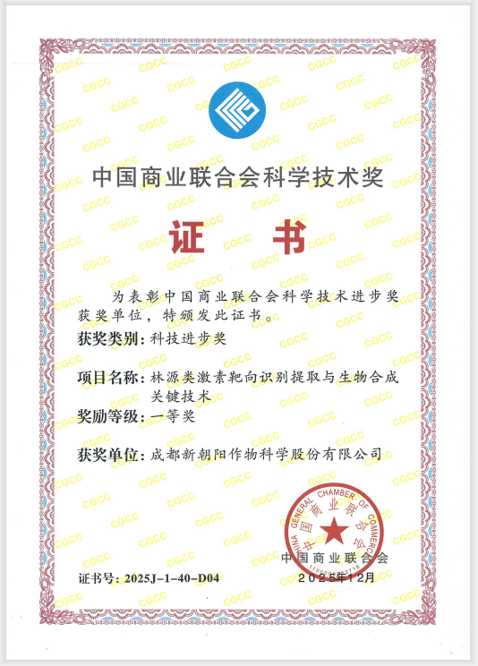 新朝陽榮獲科學技術獎一等獎